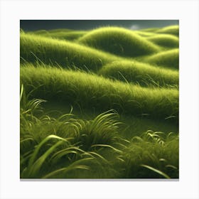 Grassy Field 4 Canvas Print