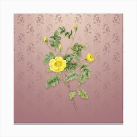 Vintage Yellow Sweetbriar Rose Botanical on Dusty Pink Pattern n.0974 Canvas Print