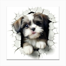 Shih Tzu 4 Canvas Print