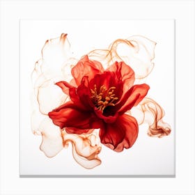 Red Peony Flower Canvas Print
