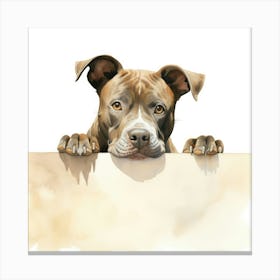 Staffordshire Bull Terrier Dog 2 Canvas Print