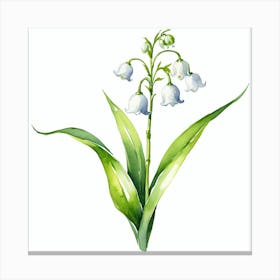 Lily Of The Valley Canvas Print