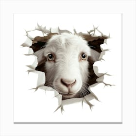 Goat Looking Through A Hole Canvas Print