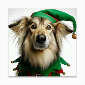 Dog in an Elf Hat Canvas Print