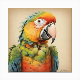 Parrot 47 Canvas Print