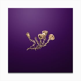 Gold Botanical Gillies Purslane Flower Branch on Royal Purple n.2358 Canvas Print