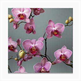 Orchids Canvas Print