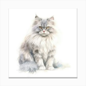 Australian Mist Longhair Cat Portrait 3 Canvas Print