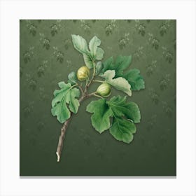 Vintage Fig Botanical on Lunar Green Pattern n.2536 Canvas Print