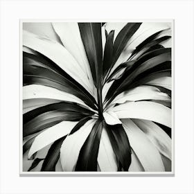 Black And White Leaf Canvas Print