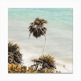 Palm Tree On Beach Square Canvas Print
