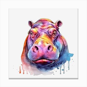 Hippo 12 Lienzos