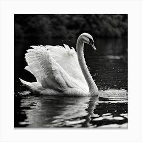 Swan In Water Canvas Print