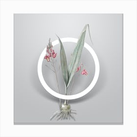 Vintage Pine Pink Minimalist Floral Geometric Circle on Soft Gray n.0352 Canvas Print