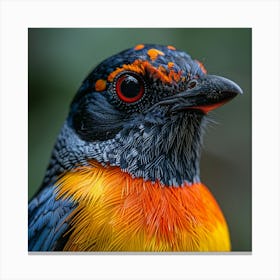Bird - Close Up Canvas Print