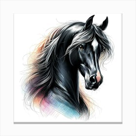 Black Arabian Horse Head Portrait Drawing With Color Accents 1 Canvas Print