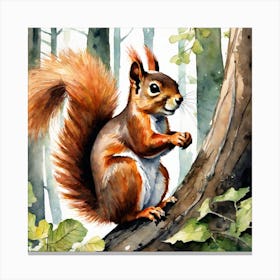 Red Squirrel In The Woods 4 Canvas Print