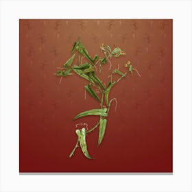 Vintage Rough Bindweed Botanical on Falu Red Pattern n.0344 Canvas Print