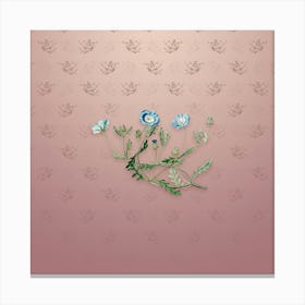 Vintage Shewy Nemophila Botanical on Dusty Pink Pattern n.2483 Canvas Print