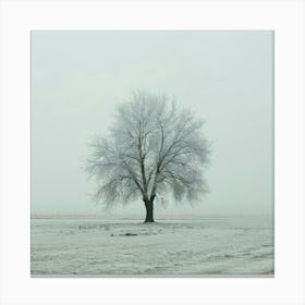 Lone Tree In The Fog 2 Canvas Print