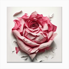 Pink Rose Canvas Print