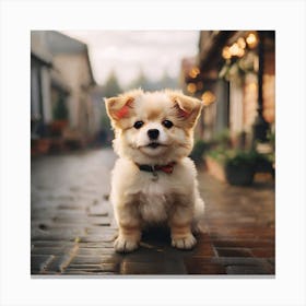 Photos of a cute dog Canvas Print