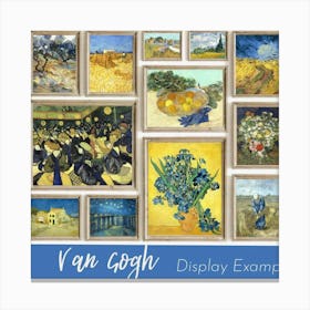 Van Gogh Display Example 11 Canvas Print