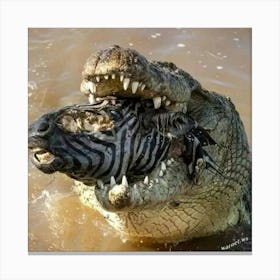 Crocodile Eating Zebra Canvas Print