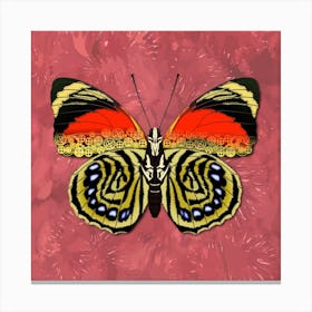 Mechanical Butterfly The Agrias Amydon Tryphon F On A Pink Background Canvas Print