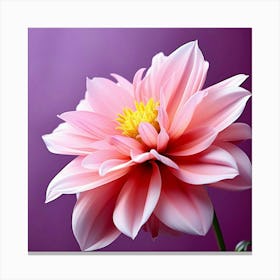 Pink flower 1 Canvas Print