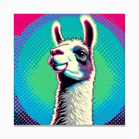 Pop Llama Canvas Print