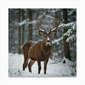 Deer In Winter Forest 1 Canvas Print