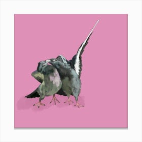 Love birds Canvas Print