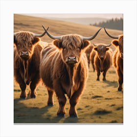 Highland Cows 1 Canvas Print