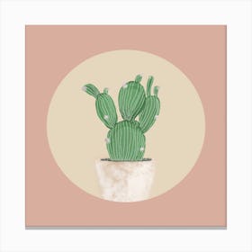 Delicate Cactus 1 Square Canvas Print