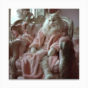 Maincoon Cat In Pink Canvas Print