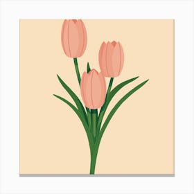 Pink Tulips Canvas Print