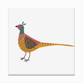 Pheasant Canvas Print