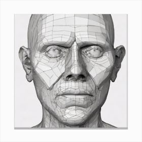 3d Model Of A Man'S Head Canvas Print