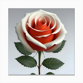 White Rose 1 Canvas Print