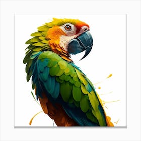 Colorful Parrot 10 Canvas Print