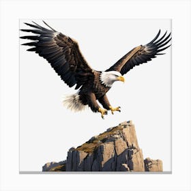 Bald Eagle 12 Canvas Print