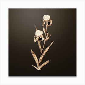 Gold Botanical Elder Scented Iris on Chocolate Brown n.0659 Canvas Print