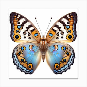 Butterfly of Bhutanitis lidderdalii 3 Canvas Print