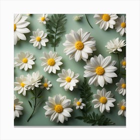 Daisies On Green Background 1 Canvas Print