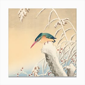 Kingfisher In Snow Canvas Print