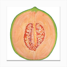 Cantaloupe Melon Square Canvas Print