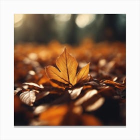 Autumn Leaves 13 Canvas Print