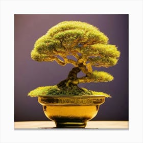 Bonsai Tree In A Pot Canvas Print