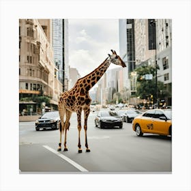 Giraffe In The City Canvas Print